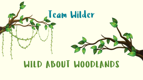 Team Wilder Wild About Woodlands Banner