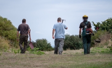 Working as part of the team to maintain Alderney's nature reserves