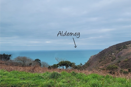Alderney from Jersey