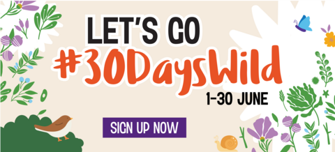 30 Days Wild Email Banner