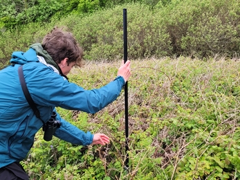 Putting Up a Bat Detector