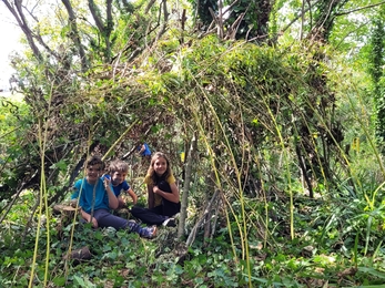 Woodland Explorer - Den Building