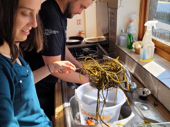 Cooking up foraged food with Youth Group