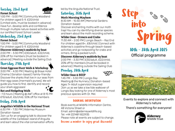 Step into Spring page 2