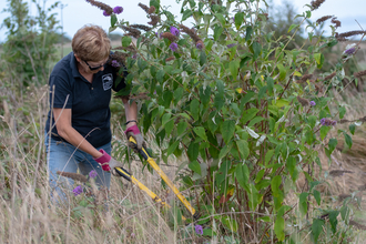 Conservation Volunteer