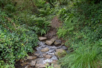 Bonne Terre stream