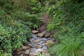 Bonne Terre stream