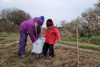 Tree Planting