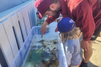 Marine Tank Session