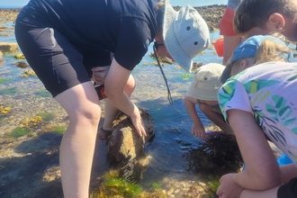 rockpooling