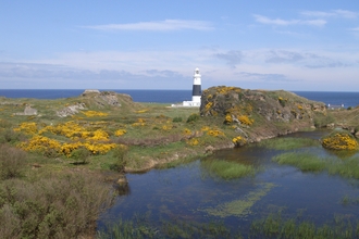 A view of Alderney's landscape