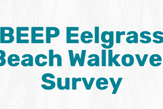 BEEP Eelgrass Beach Walkover Survey