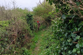 Conservation volunteers at Bonne Terre