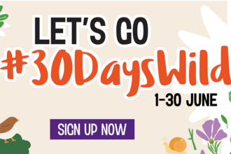 30 Days Wild Email Banner
