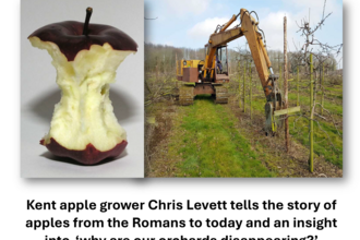 Talk - Is it 'Crunch' time for the English Apple Industry?