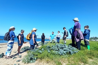 Seashore foraging 2024