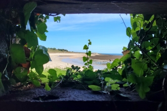 Looking at Longis 