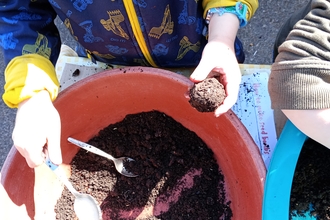 Make wildflower seed bombs