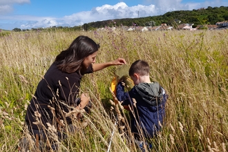 BioBlitz on Braye Common