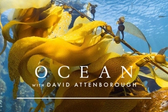 AWT screening Ocean