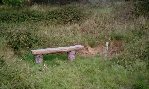 Bench made from ACW removed pine
