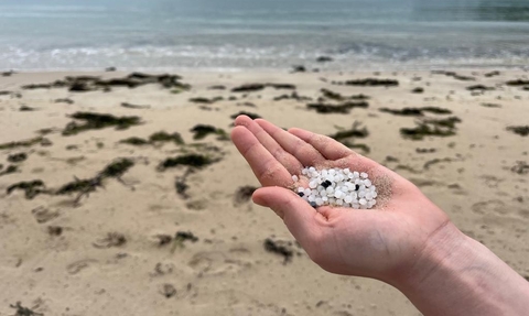 Nurdles at Longis Beach