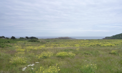 Longis Common in summer