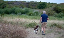 Dog walking on Longis reserve
