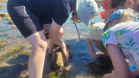 rockpooling