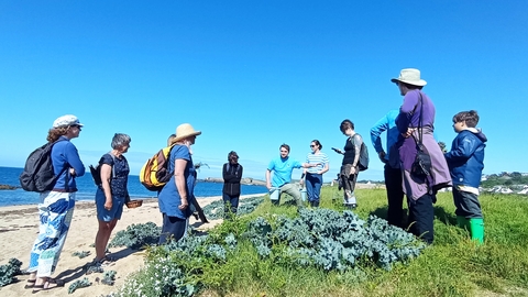 Seashore foraging 2024