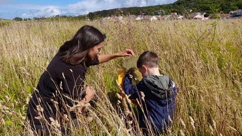 BioBlitz on Braye Common
