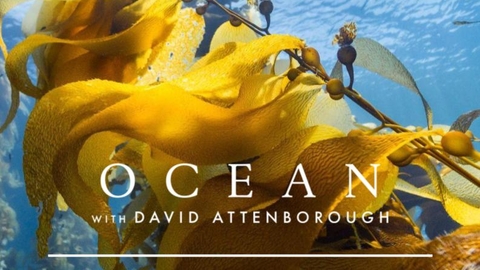 AWT screening ocean