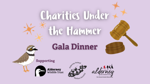 Charities Under the Hammer Gala Dinner, Supporting Alderney Wildlife Trust, Alderney Animal Welfare Society, Alderney Bird Observatory