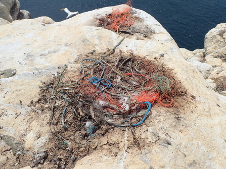 Plastic on Ortac Gannet nests
