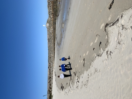 School beach clean
