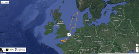 Cosmo the gannet track