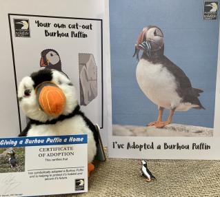 Adopt a puffin