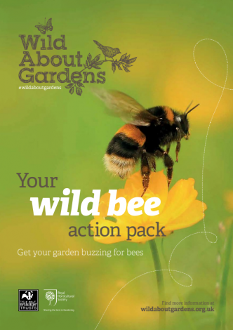 Bee action pack