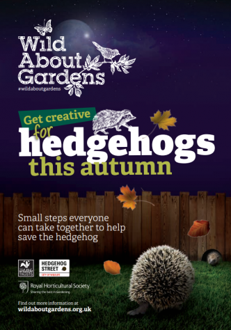 hedgehog guide