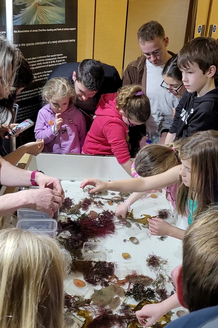 Touch Tank