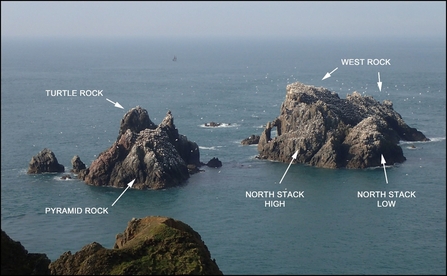 The names of the rocky outcrops making up the Les Etacs colony