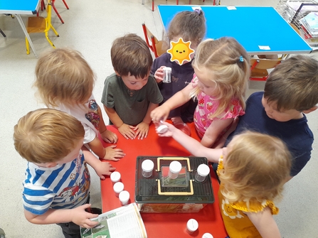 Observe moths and emperor moth caterpillars