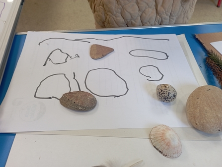 Trace nature objects