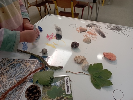 Trace nature items