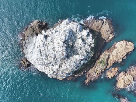 Using drone to survey gannets on Ortac