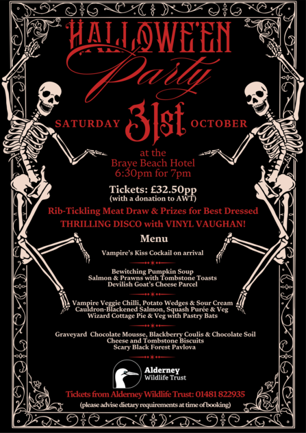 Halloween party 2026 poster