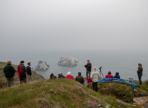 Talk on the cliffs