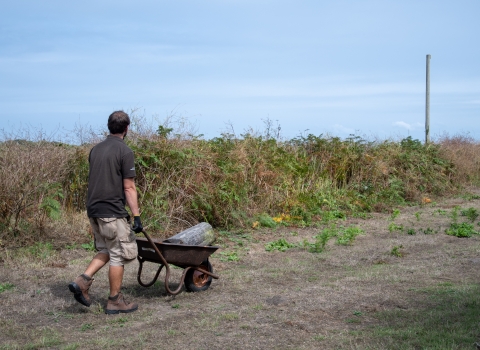 Conservation volunteering