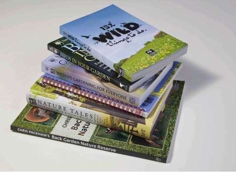 Books piled on a desk