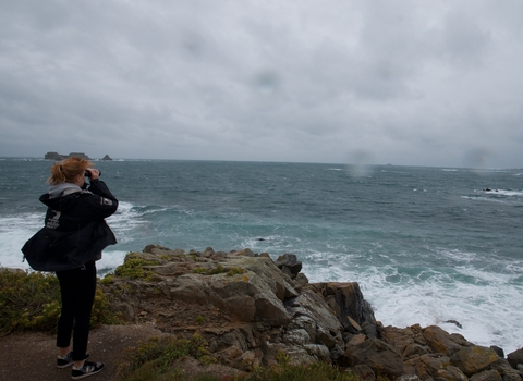 Looking at the Ramsar site